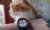 Huawei Watch GT 5