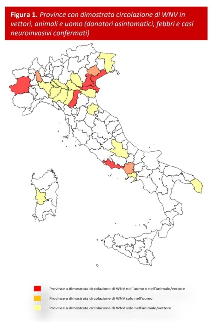 Febbre West Nile: aumentano i contagi. La mappa delle Regioni e province più a rischio a causa delle zanzare Screenshot 2025 07 28 093615