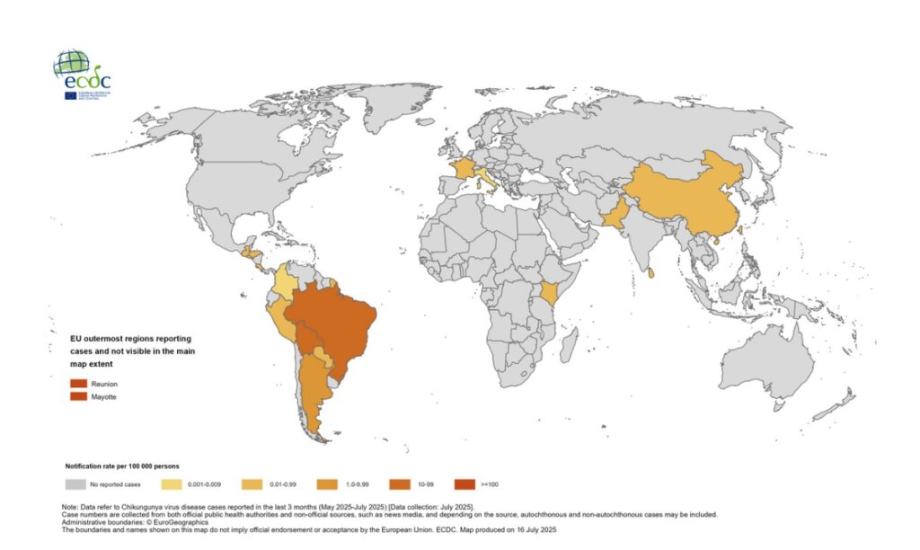 Il virus Chikungunya è arrivato anche in Italia. Ma quali sono le zone del mondo più colpite dai contagi? La mappa virus Chikungunya
