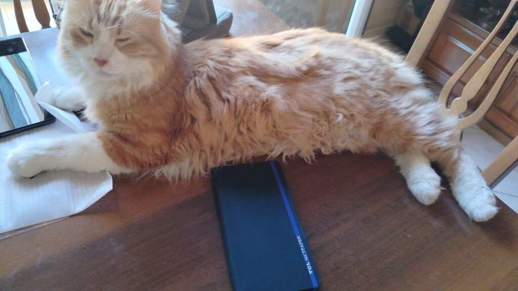 TCL Nxtpaper 60 Ultra 1