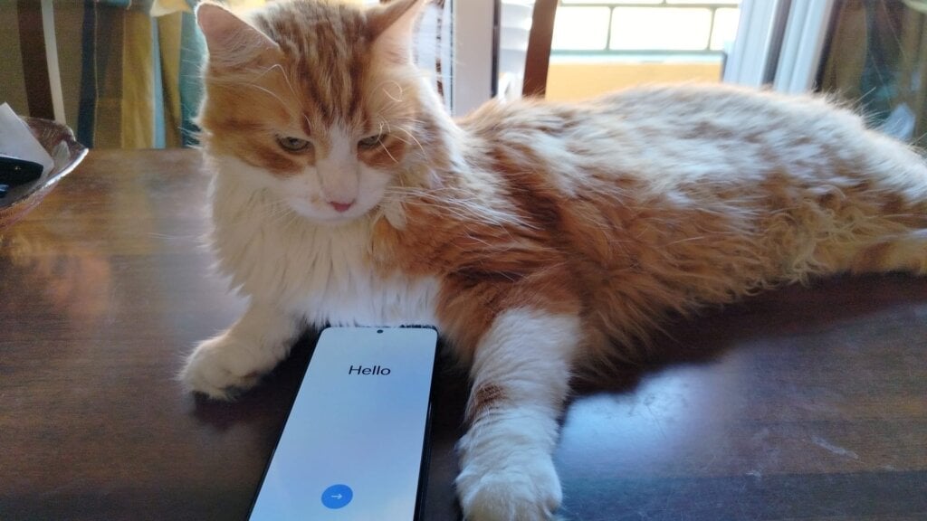 Realme 14 5G, oltre a un prezzo molto interessante c’è di più. Un medio gamma ottimo per il gaming?