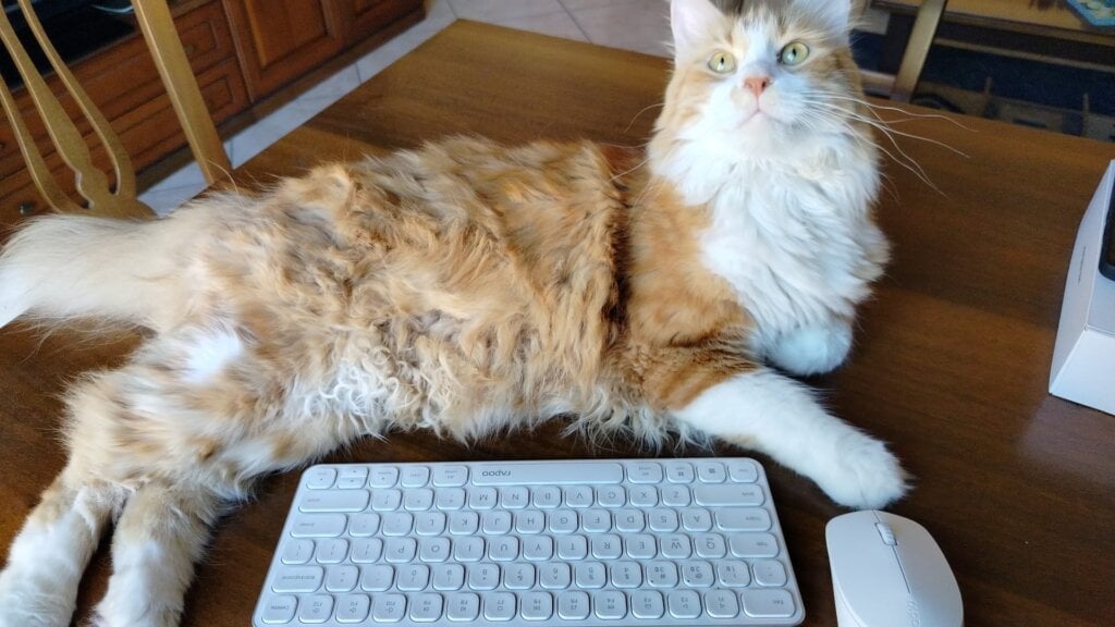 Rapoo 9010M, il set mouse + tastiera per lavorare davvero ovunque quando si è in viaggio?