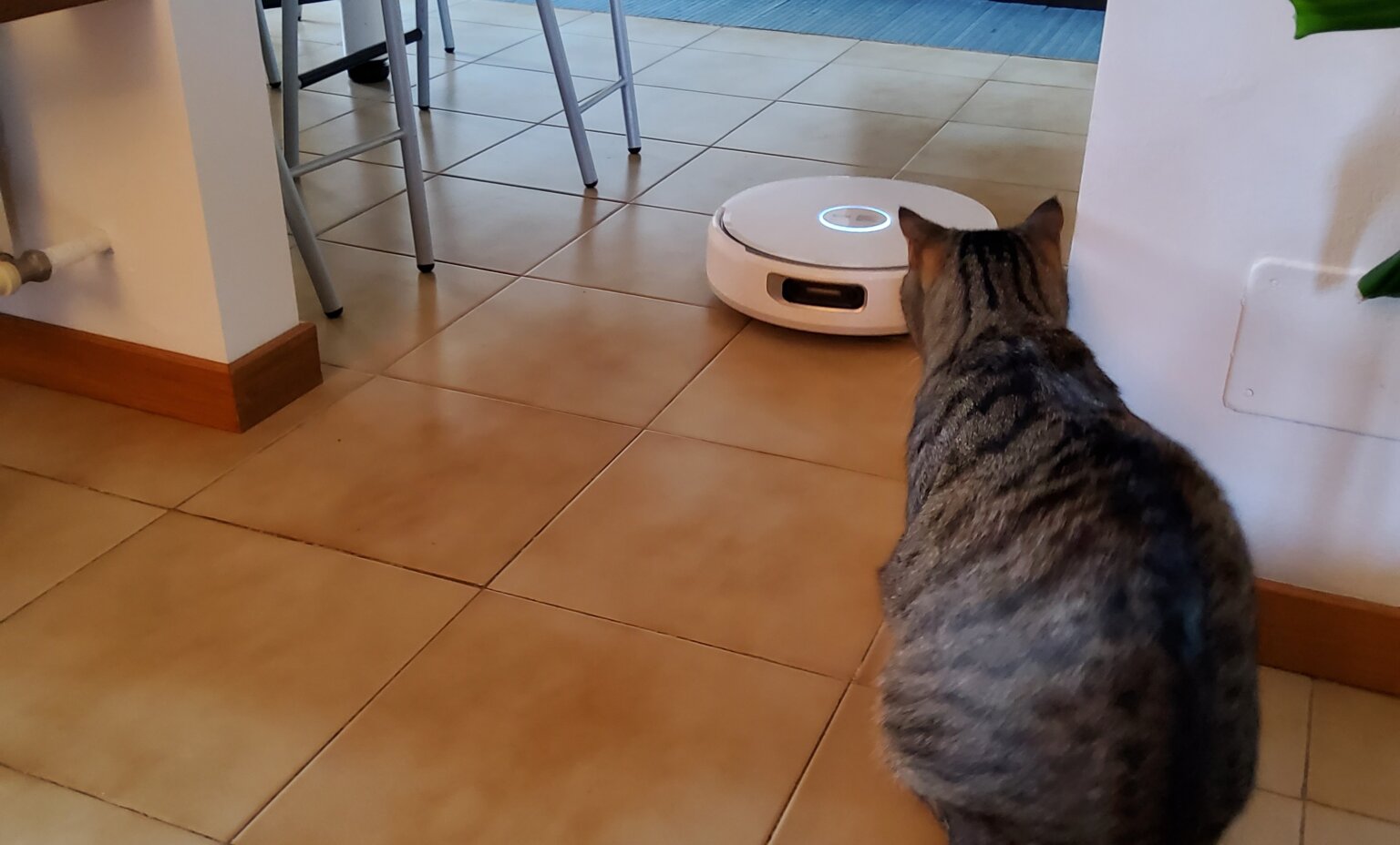 Narwal FLOW, la recensione del robot lavapavimenti appena presentato a IFA 2025 narwal flow