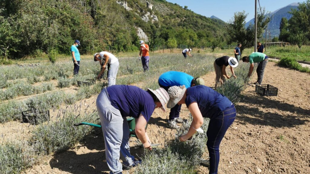 Open Farms, in Umbria l’agricoltura diventa terreno di inclusione per i giovani con autismo
