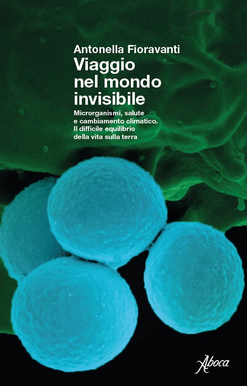 A lezione dalla scienziata che ha sconfitto l'antrace. «Vi porto a spasso nel mondo dell'invisibile» Cover low fioravanti 1