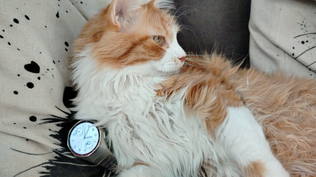 Huawei Watch GT6 Pro 3
