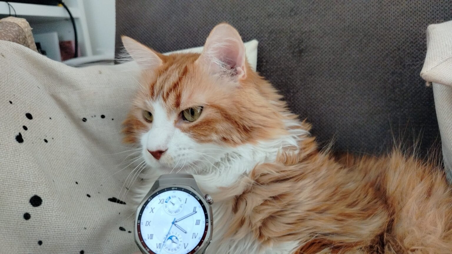 Huawei Watch GT6 Pro