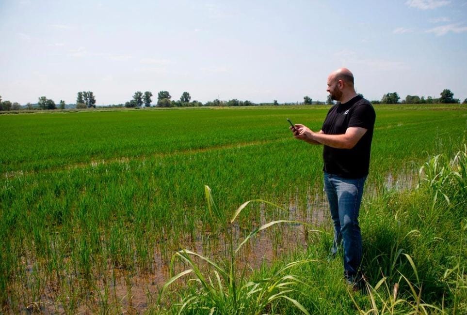 Da un piccolo campo in Piemonte a piattaforma globale, la raccolta di XFarm. Vanotti: «L’agricoltura è una maratona» xFarm Technologies