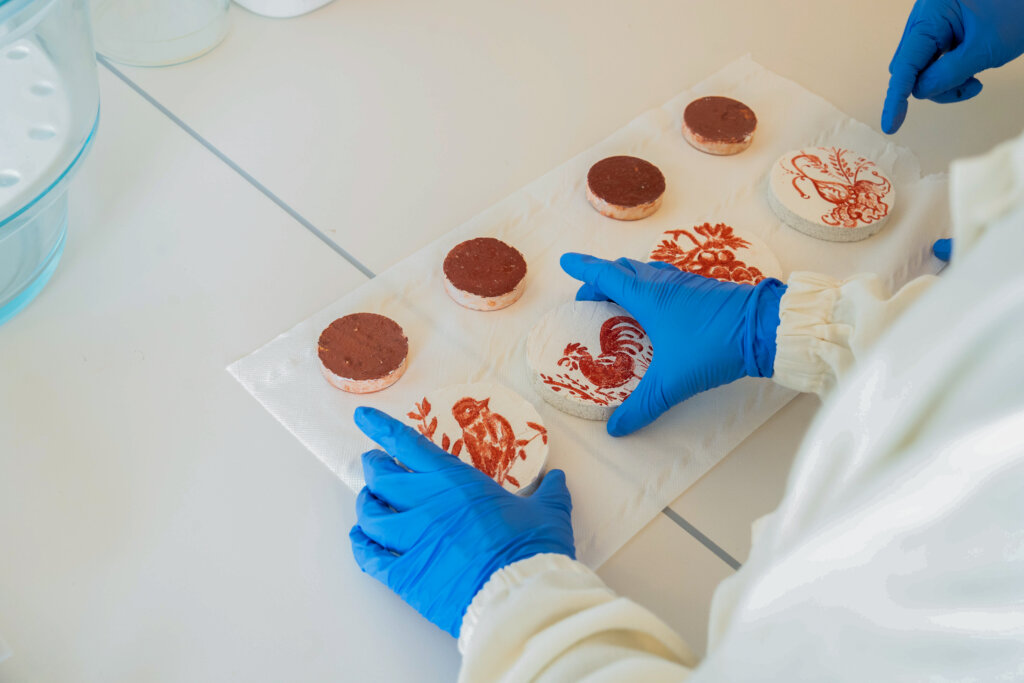 Foto del Center for Cultural Heritage Technology CCHT dellIstituto Italiano di Tecnologia IIT Treviso 5