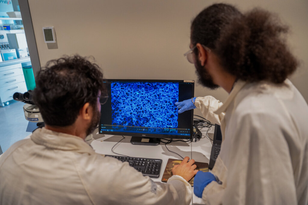 Foto del Center for Cultural Heritage Technology CCHT dellIstituto Italiano di Tecnologia IIT Treviso 7