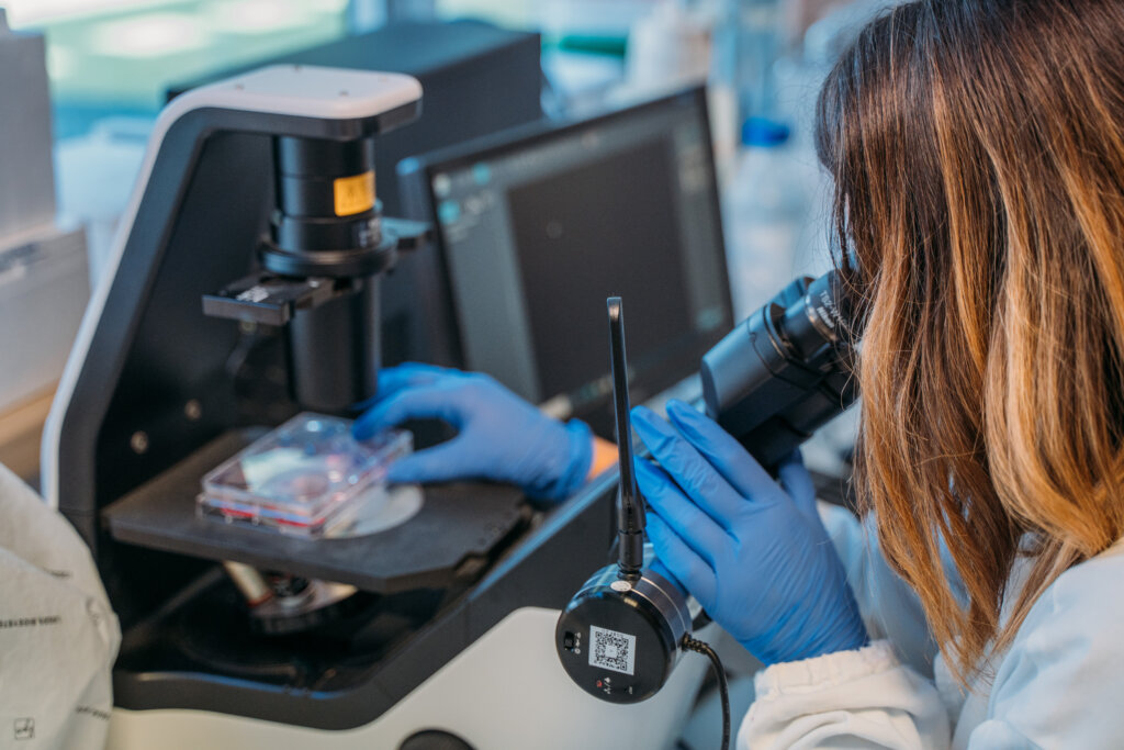 La battaglia plurale per una salute Plastic Free. «Insieme studiamo gli effetti delle nanoplastiche sul cervello» Plasticfree 122