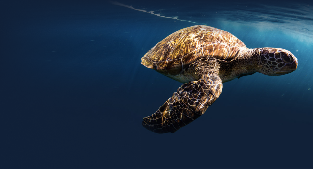 La battaglia plurale per una salute Plastic Free. «Insieme studiamo gli effetti delle nanoplastiche sul cervello» plastic free