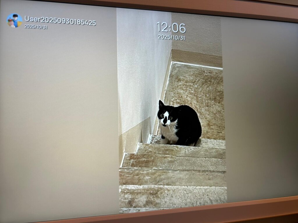 WhatsApp Image 2025 10 31 at 12.10.14