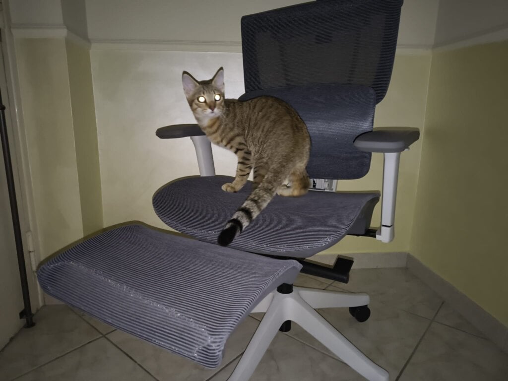 Flexispot, sedia per ufficio C7 e scrivania elettrica E7 Flow: come rinnovare la postazione di lavoro sotto Black Friday flexispot c7 2