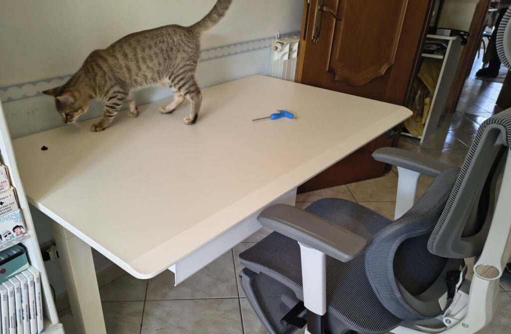 Flexispot, sedia per ufficio C7 e scrivania elettrica E7 Flow: come rinnovare la postazione di lavoro sotto Black Friday